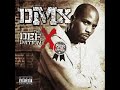 DMX - Ain\