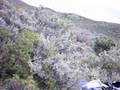 videos de enduro comodoro