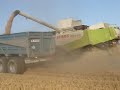 Claas lexion 570 montana Claas lexion 570 montana