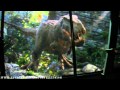 King Kong 360 3D (HD Experience) Universal Studios Hollywood