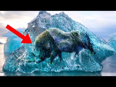 Most MYSTERIOUS Facts About The ICE AGE!