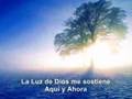 Ver Video
