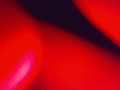 jazz drumming at it�s best
john scofield, jack dejohnette and larry goldings.
would have recorded more if the bartender had not cut me off, bah