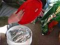 Long term food storage part 3