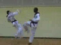 Taekwondo - Free Fight