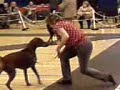 SEEDC Championship Show, Woking 2007