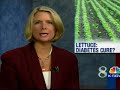 Could Lettuce Cure Diabetes?