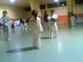 tekwando lara