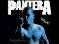 Pantera - Walk (Studio Version)