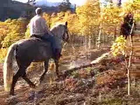 Yukon Horseback Riding