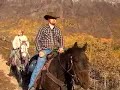 Yukon Horseback Riding
