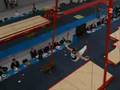Danny Rodrigues (FRA) on rings