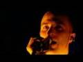 Giungla nord - Subsonica