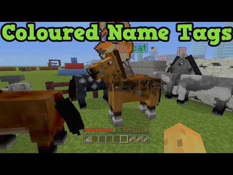 how to use a minecraft name tag