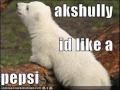 LOL Animals!