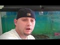elcapitanmas and crew 13+ walleye CT ice fishing.MP4