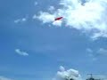 RC Blimp Demo at 1Borneo Soft Opening Day