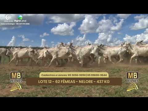 545� LEIL�O VIRTUAL MB LEIL�ES