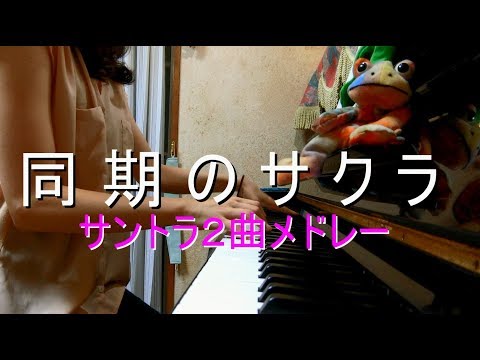 動画
