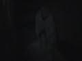 HHN 18: Reflections of Fear Haunted House UNEDITED