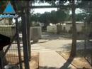 Sderot bleeds from Kassams