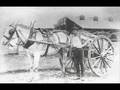 Diamantina Drover - John Williamson
