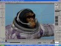 softimage xsi