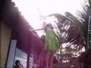 v�deo feito despretensiosamente, para ser anexado (ou n�o) ao grandioso filme que est� por vir. pode ser considerado um trailer. o final n�o tinha como ficar mais tosco, eu sei.

gravado em arraial do cabo - rio de janeiro