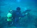 Buceando con barracudas en Ibiza