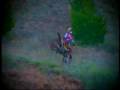 pastrana's freestyle