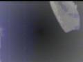 videos de JE CHANTE COMME UN COYOTE