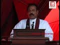 Curious Wimal