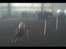 Tandy Running Poles