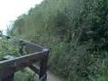 Sandbanks Studland Swanage Railway walk