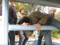 des fous des fous