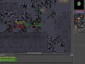 Saris Pk Tibia Saris Pk Tibia