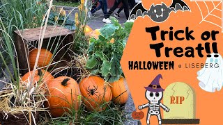 Liam's Halloween @ Liseberg ?? ??