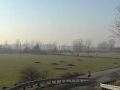 Saluti da Landriano