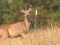 Montana land/acreage/property near Helena, Montana