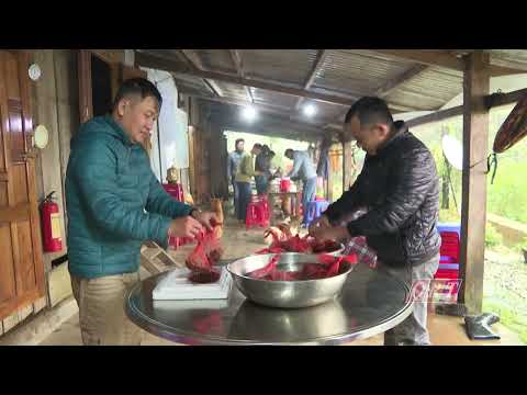 Kỹ thuật sản xuất cây giống Sâm Ngọc Linh | QRT