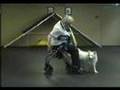 K9 Freestyle Dancing No Limitation