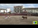 BELMONTE DETAJO II CONCURSO DE RECORTADORES 17.5.2008