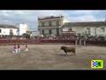 BELMONTE DETAJO II CONCURSO DE RECORTADORES 17.5.2008
