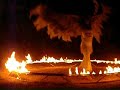 flaming swan performance