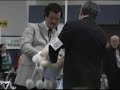 Toy Poodles Blondie and Lucy at Albany Dog Show
