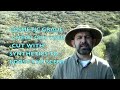 Medical Quality Essential Oils-Revised