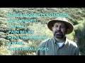 Medical Quality Essential Oils-Revised