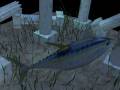 videos de underwater