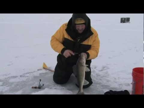 how to locate perch ice fishing