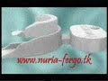 Nuria Fergo-IWhite Nuria Fergo-IWhite